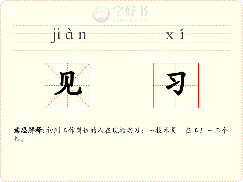见习