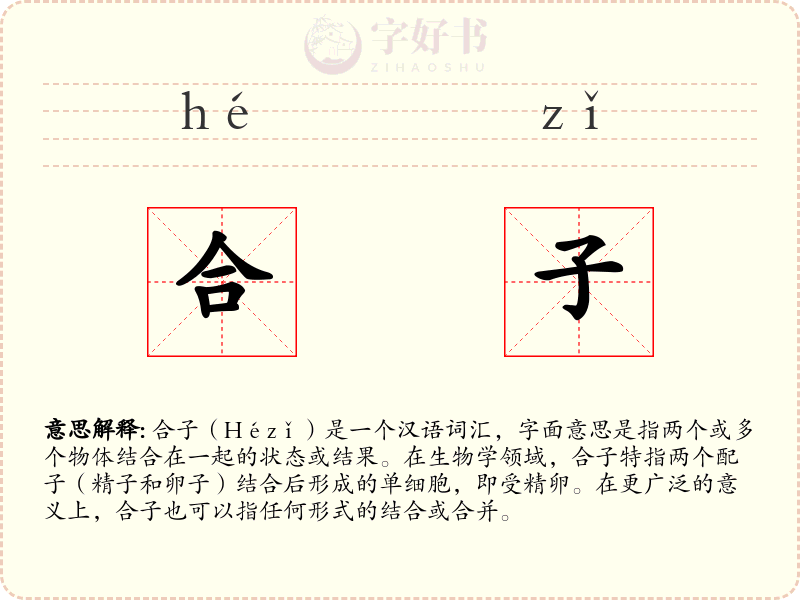 合子
