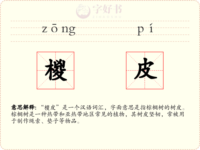 椶皮