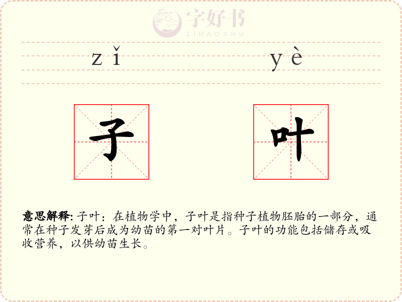 子叶