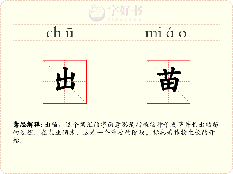 出苗