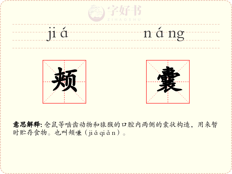 颊囊