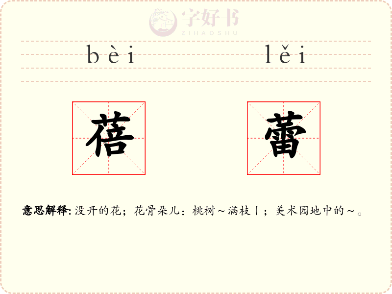 蓓蕾