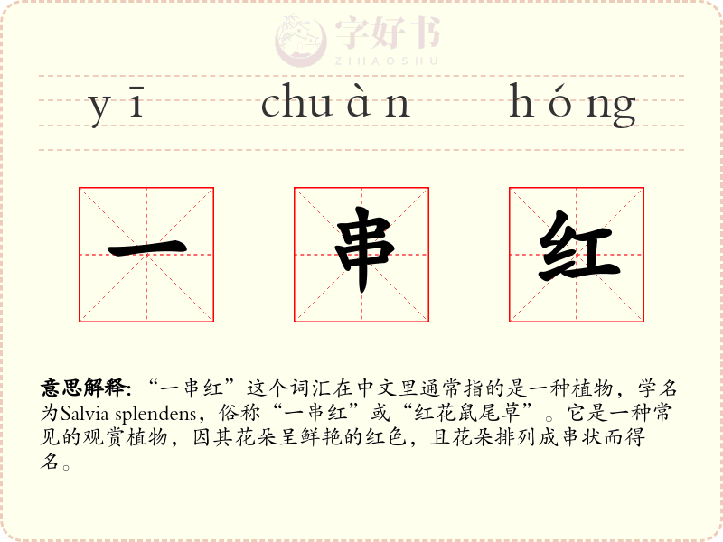 一串红