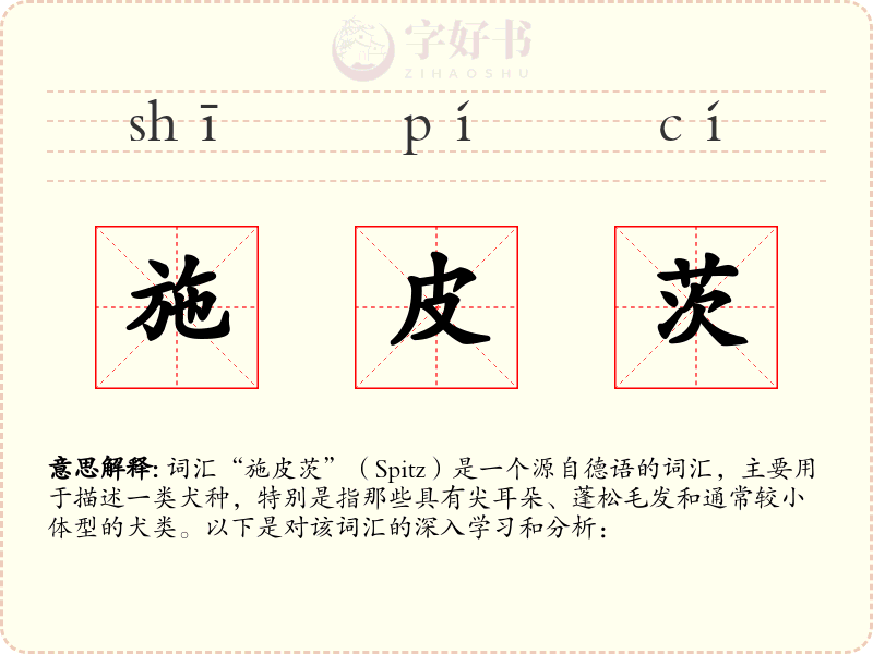 施皮茨