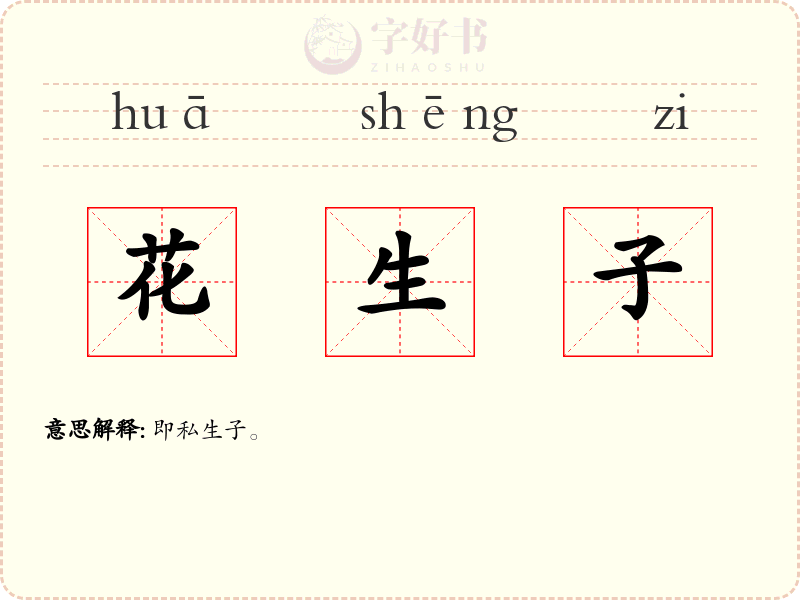 花生子