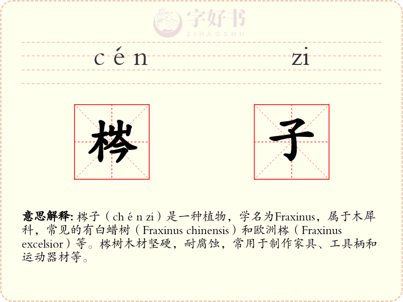梣子
