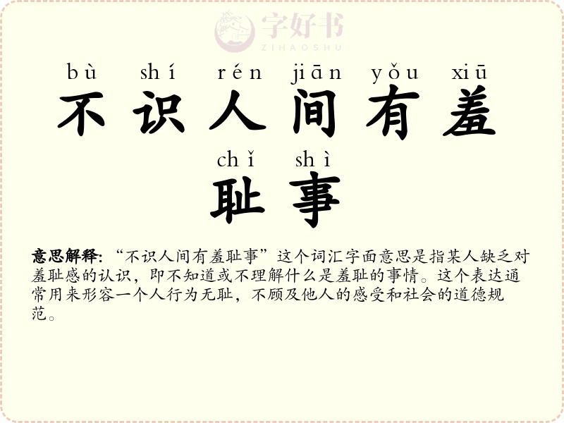 不识人间有羞耻事