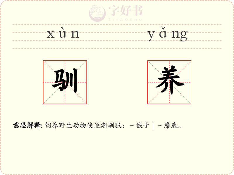 驯养