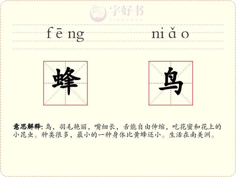 蜂鸟