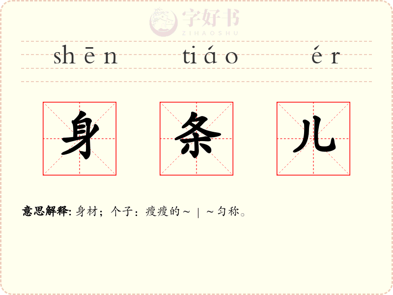 身条儿