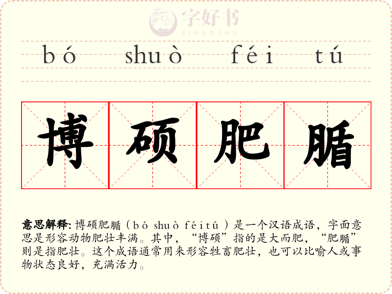 博硕肥腯