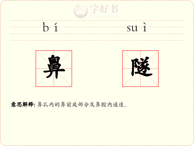 鼻隧