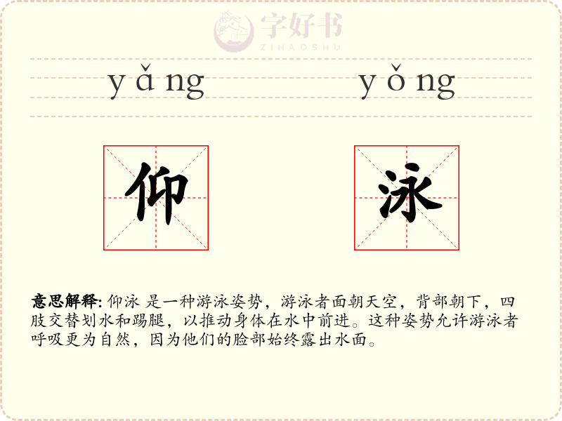 仰泳