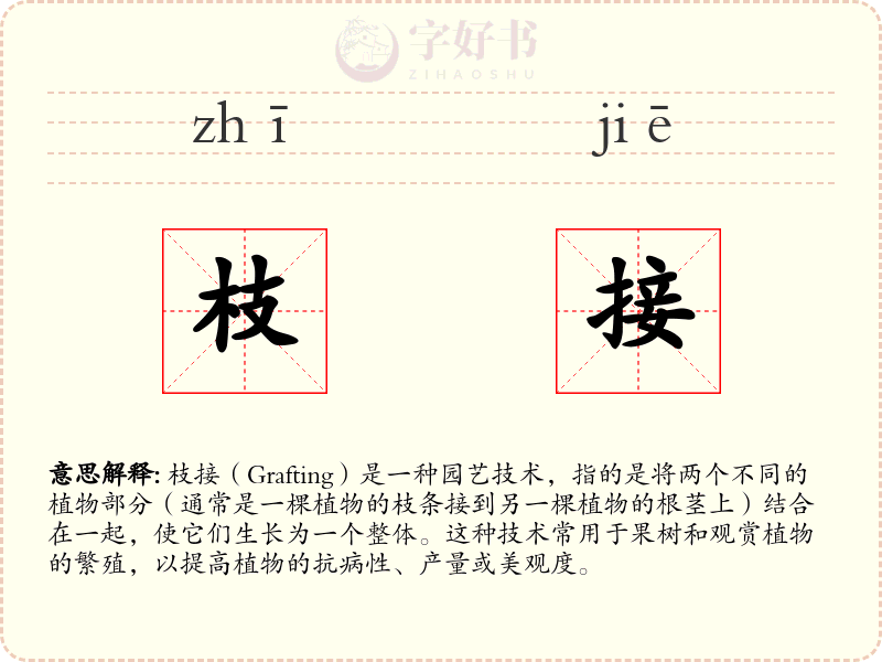 枝接