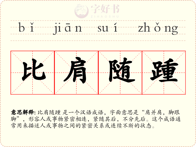 比肩随踵