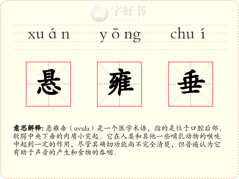 悬雍垂