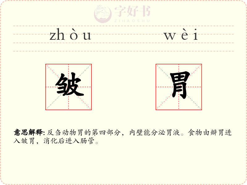 皱胃