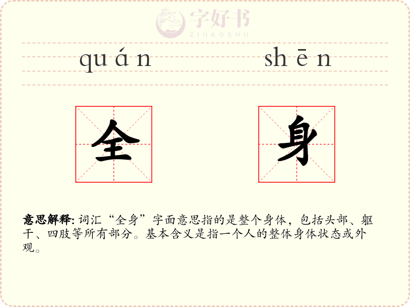 全身