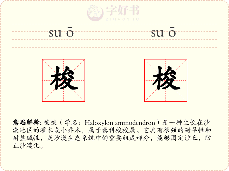 梭梭