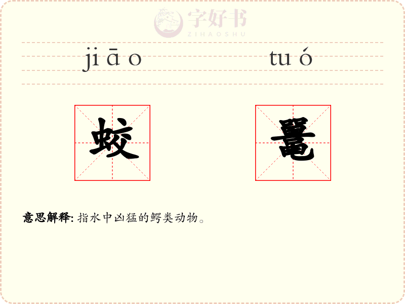 蛟鼍