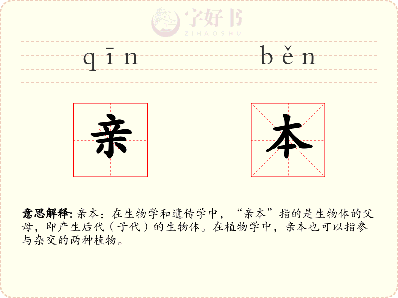 亲本