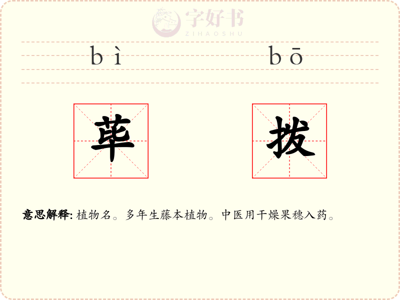 荜拨