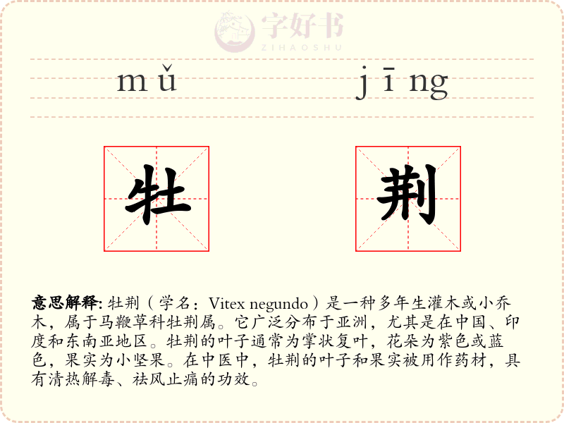 牡荆