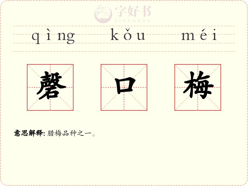 磬口梅