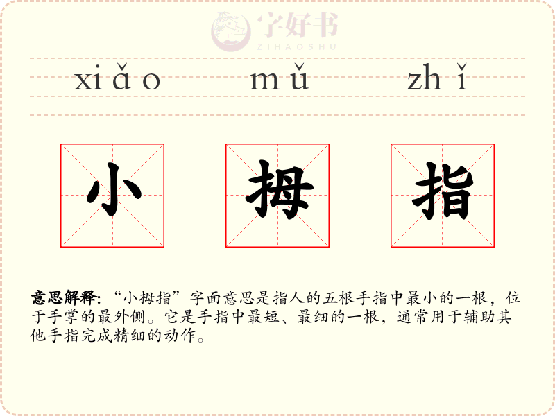 小拇指