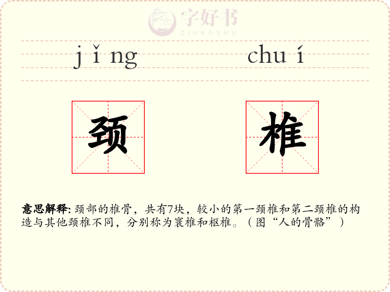 颈椎