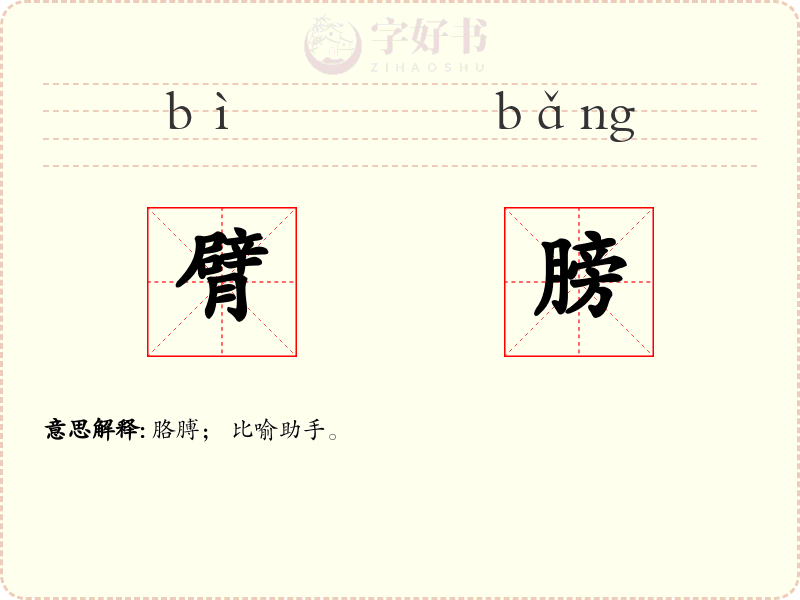 臂膀