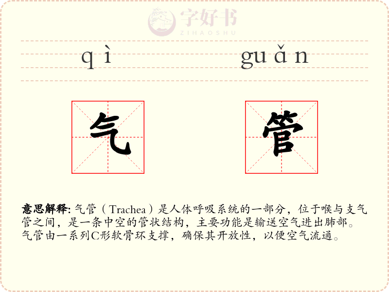 气管