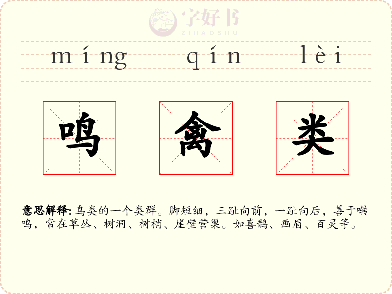 鸣禽类