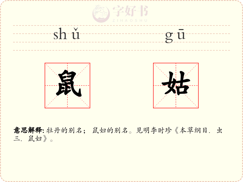 鼠姑