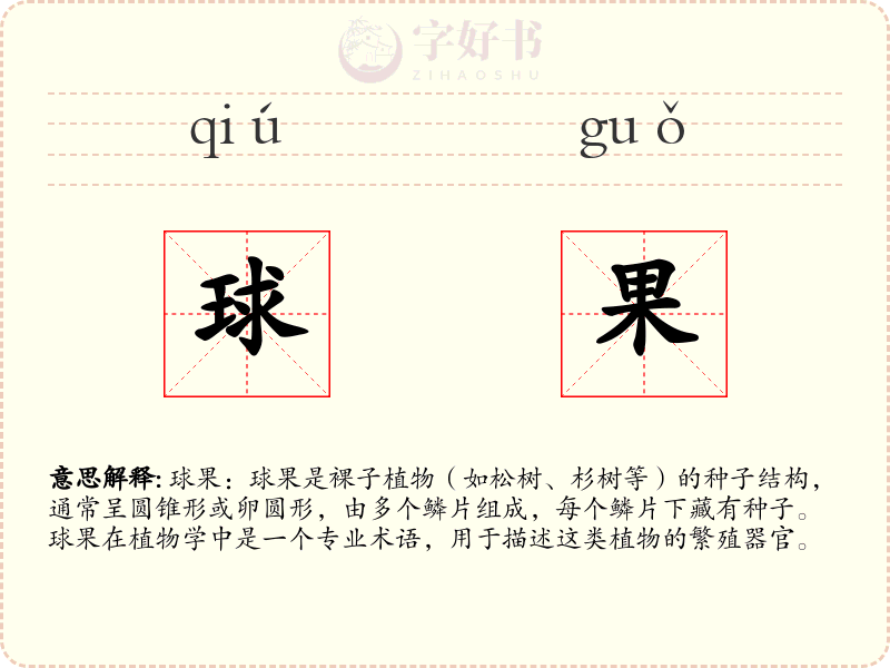 球果