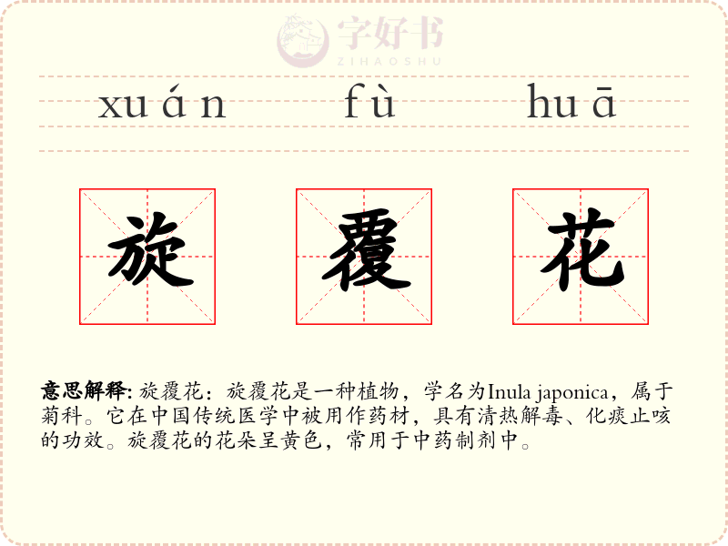 旋覆花