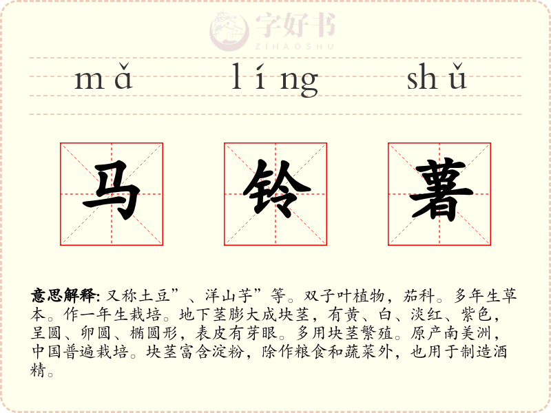 马铃薯