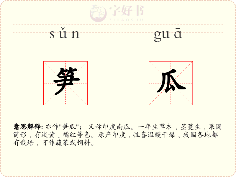 笋瓜