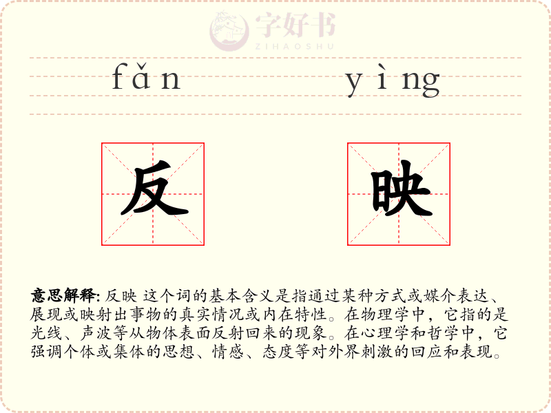 反映