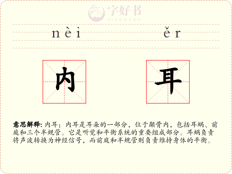 内耳