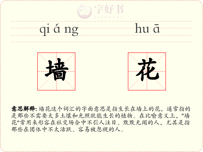 墙花