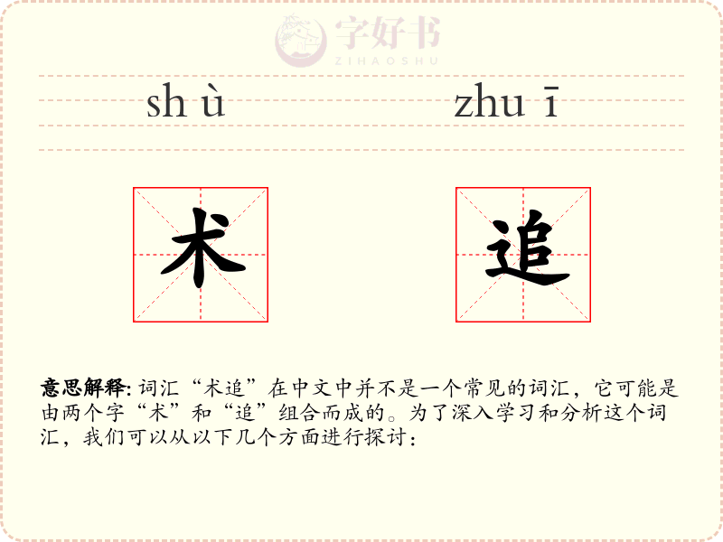 术追