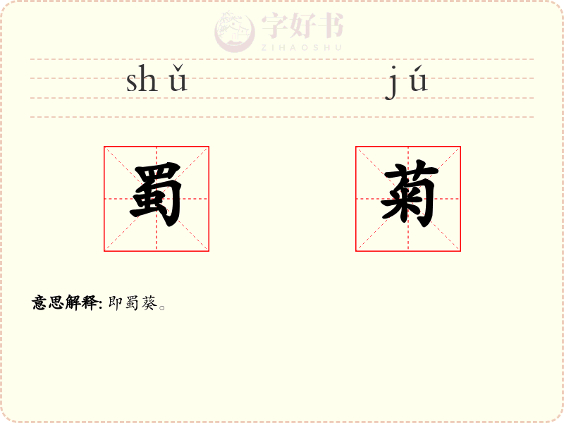 蜀菊