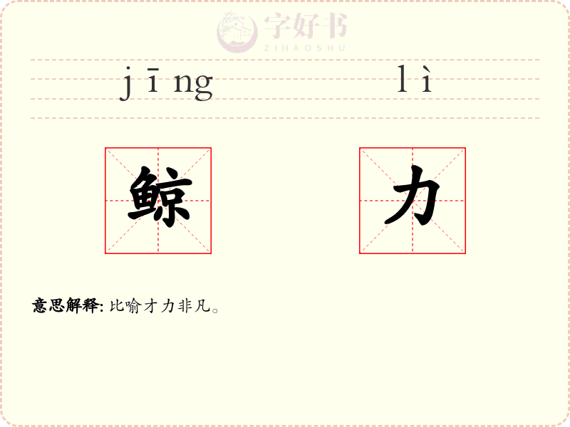 鲸力