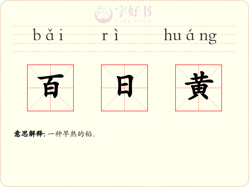 百日黄
