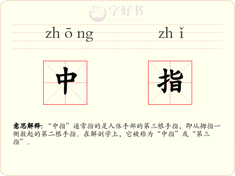 中指