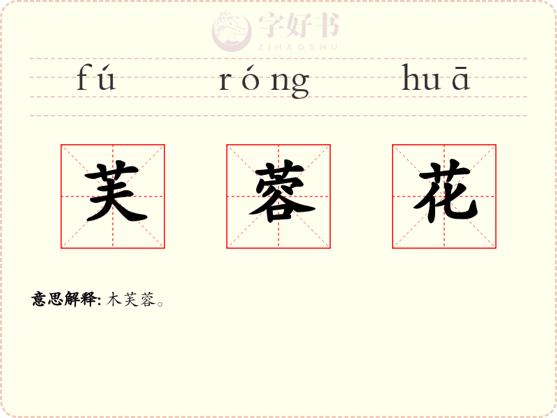 芙蓉花