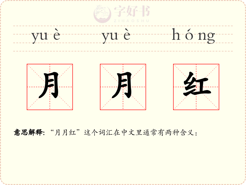 月月红