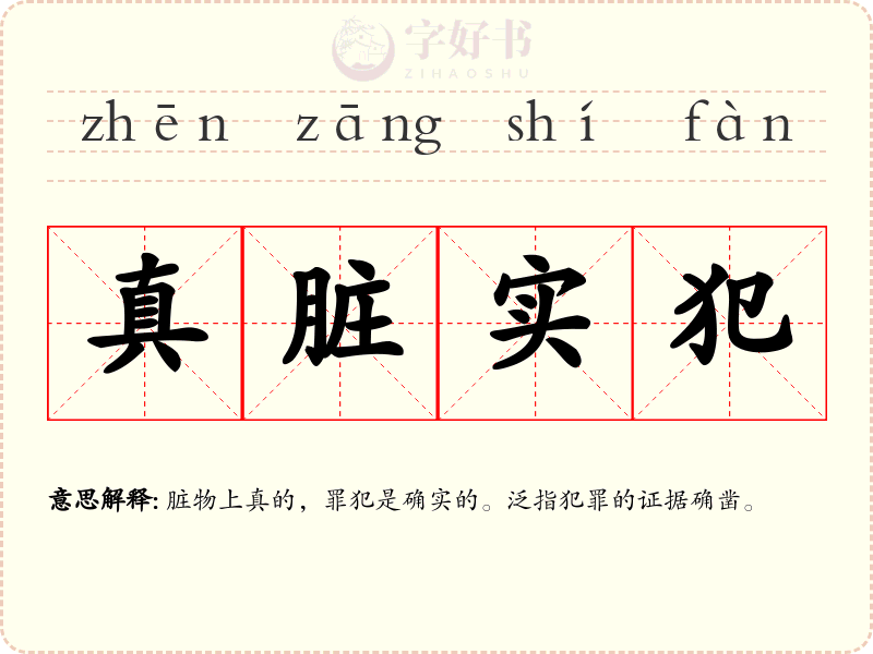 真脏实犯